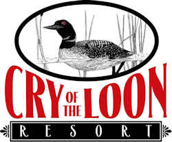 Loon Logo